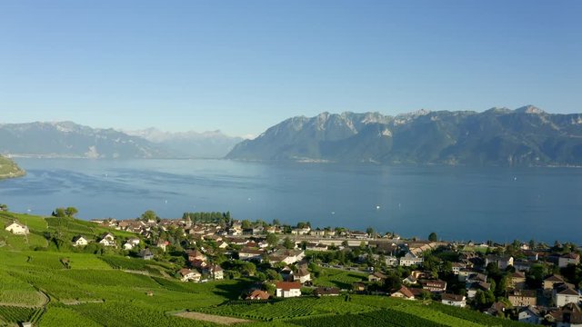 Picturesque Hillside Scenery Of Cully Village - Lavaux Vineyard  In Switzerland - Aerial shot