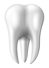 Vector Illustration of the Tooth