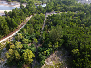Aerial view of a wooden bridge that stretches along the coast between mangrove forests