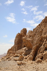 Fototapeta na wymiar Ein Gedi National Park. Oasis of the Judean Desert. 