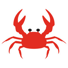 カニのイラスト　生き物　水族館　海　夏　学習　教材　ベクター