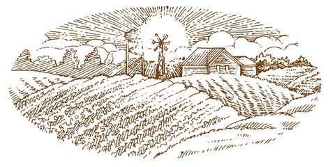 Rural landscape. Outline hand drawing. Fields, hills and countryside. Sunset. solated vector object on white background. A sketch with a felt-tip pen, ink on paper. Illustration
