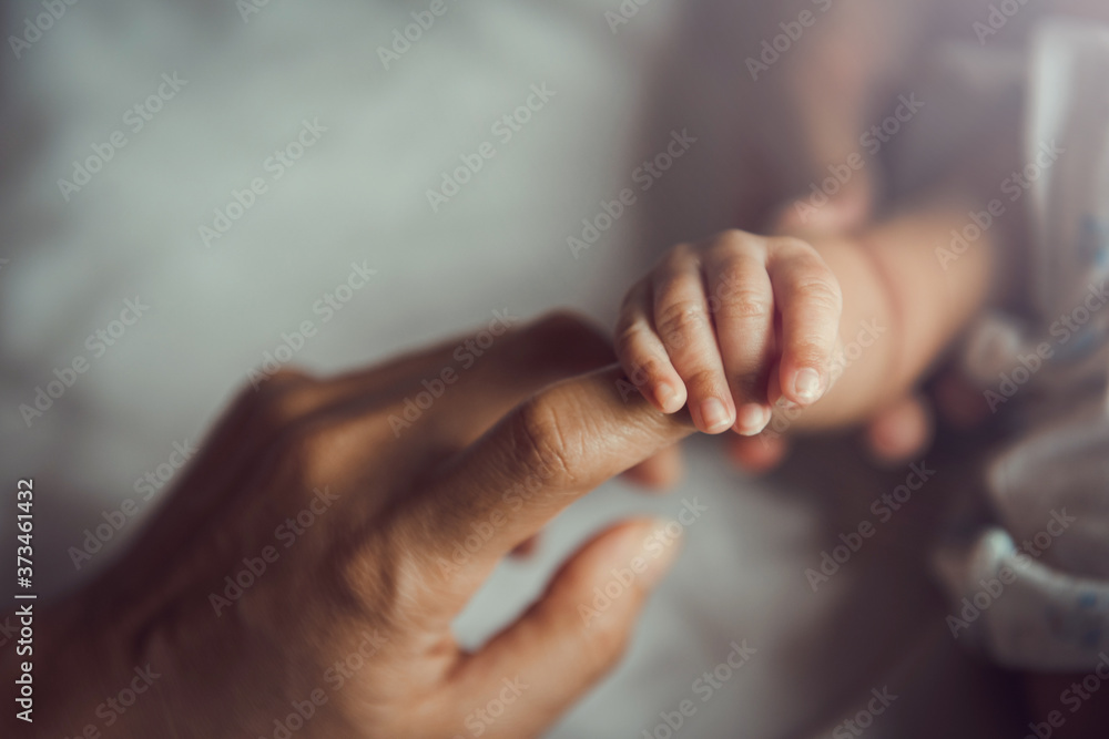 Wall mural newborn baby holding mother's hand.