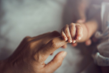 Fototapeta Newborn baby holding mother's hand. obraz