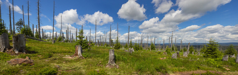 Panoramic view from the Rachel Mountain in the Bavarian forest, South Germany, with bare tree...