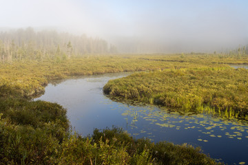 Fototapeta na wymiar Early morning mist rising from Canadian lake in swampy Spruce Bog Trail scenic landscape 