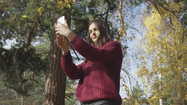4K low angle portrait of charming brown-haired female in autumn forest taking selfies with smartphone and grimacing for photos. 360 degree tracking arc shot movement.