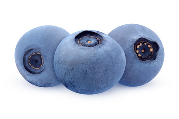 forest blueberries isolated on a white background.