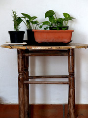 old wooden table with plants pots