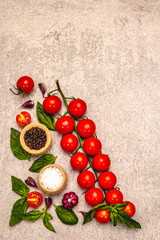 Ripe cherry tomatoes, garlic, basil, salt and black peppercorns on a stone culinary background