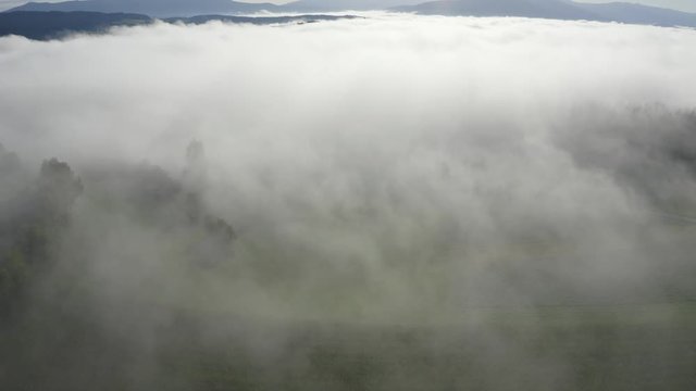 camera flight over fog that turns into treetops with a final pan over the blue mountains of the bavarian forest