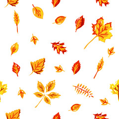 Seamless pattern. Vector illustration. Autumn leaves.