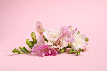 Obraz na płótnie Canvas Beautiful blooming freesia flowers on pink background