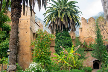 Gardens of the kasbah in the medina, Chefchaouen, Morocco