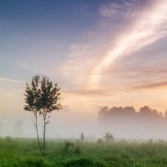 sunrise in the field