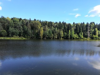 lake and forest