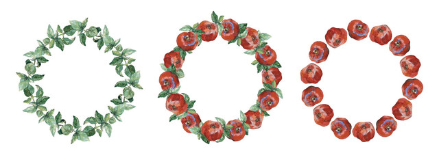 Three round frames of red tomatoes and green basil, isolated on white. Watercolor illustration. For invitations, cards, recipes, menu, cookbook and packaging design.