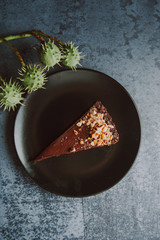 Slice of brown cake shot from bird's eye perspective. Delicious cake and sweets.
