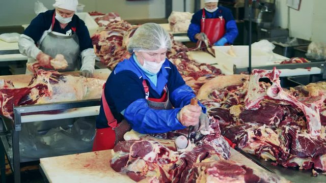 Women Cut Pork At Meat Packing Plant.