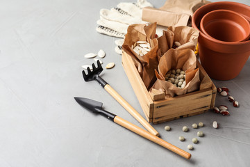 Different vegetable seeds and gardening tools on light grey table