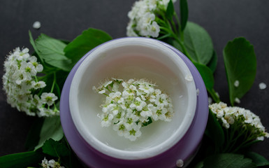 Close up of lilac jar with white cream of delicate texture, inside which-white flowers. Spirea twigs with flowers and green leaves are lying around. Dark background