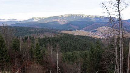 Colorful autumn landscape in the Carpathian mountains with mountain peaks. Carpathians, Ukraine, Europe. World of beauty. Forest with orange leaves. Autumn sunny day in western Ukraine.
