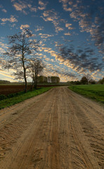 A path with trees on the side of a dirt field. High quality photo