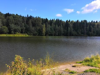 lake in the forest