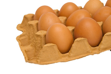 Eggs in cardboard