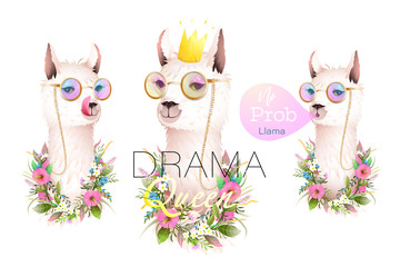 Llama no drama designer collection for t shirts, greeting cards and other projects. Realistic vector lama animal character illustration with golden modern quotes lettering. Vector in watercolor style. © Popmarleo