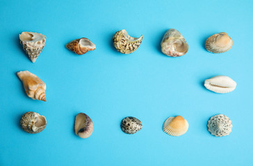 Frame made with different sea shells on light blue background, flat lay. Space for text
