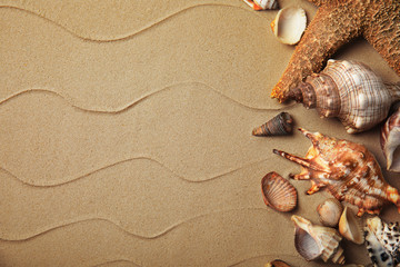 Fototapeta na wymiar Different beautiful sea shells on sand, flat lay. Space for text