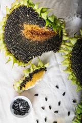 sunflowers on a table covered with a tablecloth, seeds in a bowl