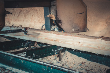 Sawmill. Process of machining logs in sawmill machine saws the tree trunk