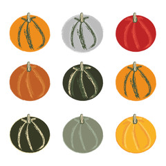 Pumpkin collection in doodle style on white background isolated vector illustration. Pattern for celebration design. Thanksgiving backdrop.