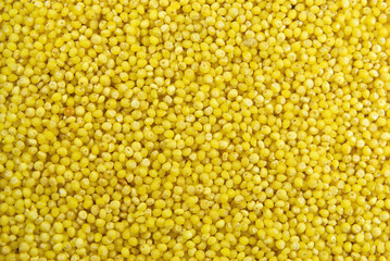 Millet texture