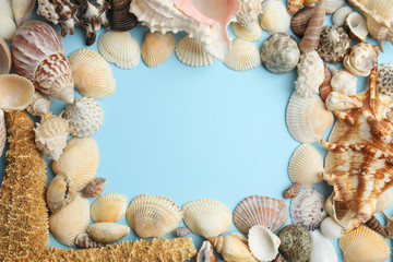 Frame of sea shells on light blue background, flat lay. Space for text