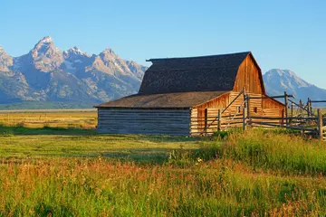 Deurstickers Tetongebergte Sunrise over Mormon Row in Grand Teton National Park with the mountains in the background in Wyoming, United States
