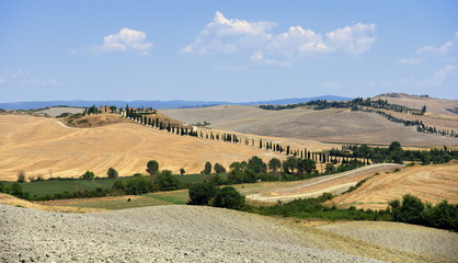 Fototapeta na wymiar Panorama mit Feldern und Zypressenallee am Horizont 