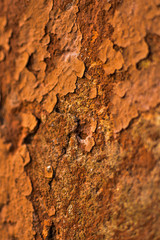 texture, cracks in the coating, vintage background