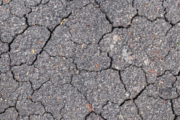 Nature background of cracked dry lands.