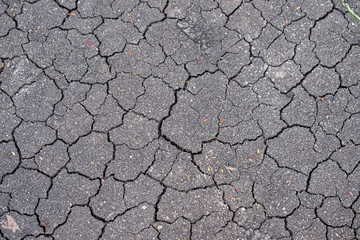 Nature background of cracked dry lands.