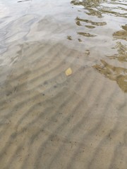 footprints on the sand