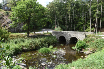 Pont pierre gades ruisseau Wallonie Belgique Ardenne vert bois