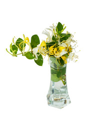 Beautiful bouquet of honeysuckle flowers in the transparent glass vase