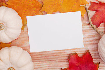 Empty paper card, maple leaves and white decorative pumpkings.