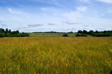 Rural landscape with wind damaged cereal field, Latvia