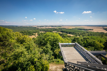 Wooden observation platform with view on nature