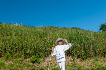 巡礼路　四国八十八カ所