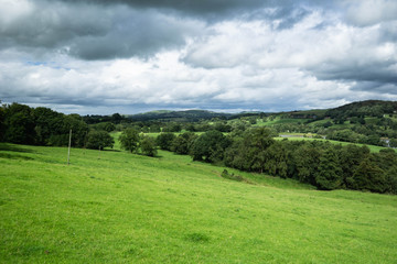 landscape with green grass, trees and rolling hills